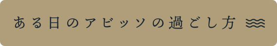 ある日のアビッソの過ごし方