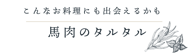 馬肉のタルタル